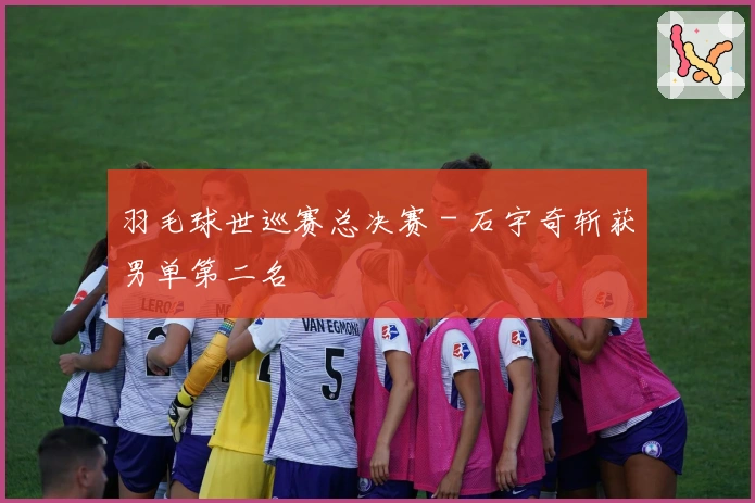 羽毛球世巡赛总决赛 - 石宇奇斩获男单第二名
